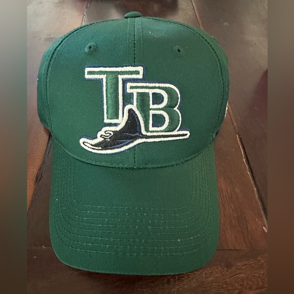 outdoor caps Other - MLB Tampa Bay Devil Rays Baseball Hat NWOT